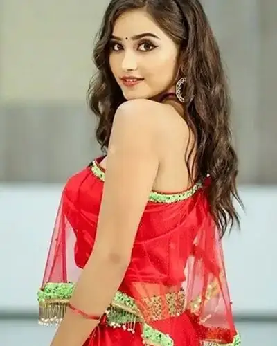 Call Girls Service Naidupeta